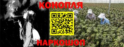индика Жуковский