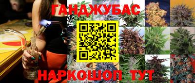 индика Жуковский