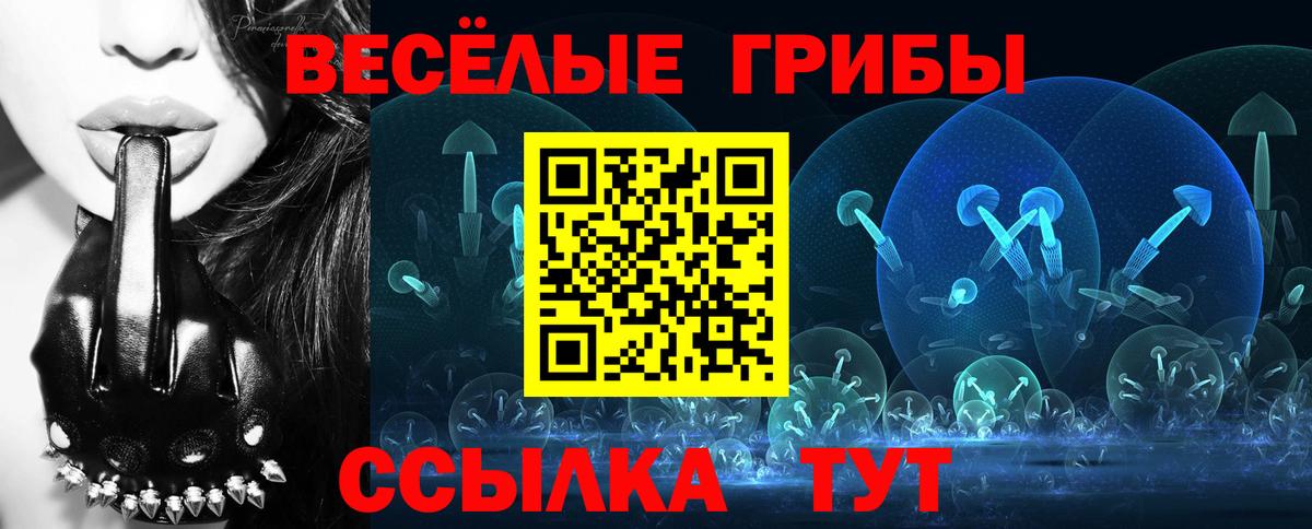 Псилоцибиновые грибы мицелий Мелеуз